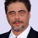 Benicio del Toro